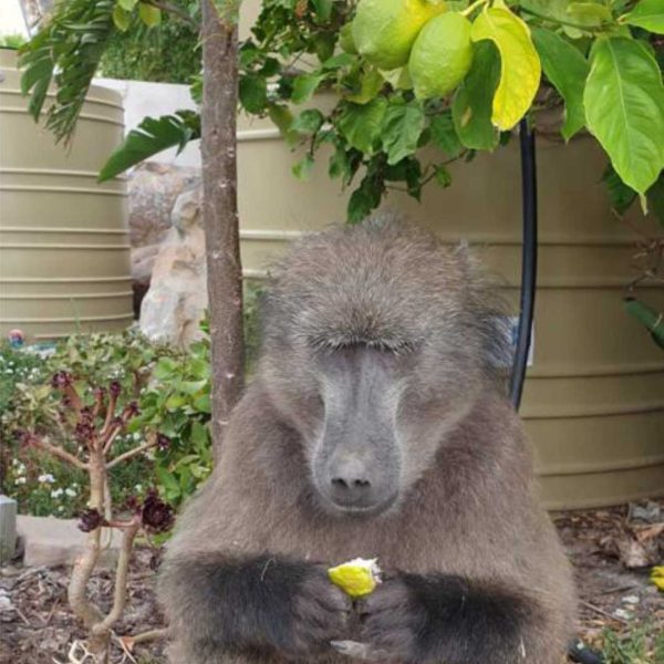 Our Visitors from Time to time